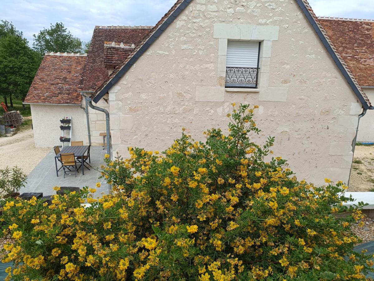 Gite De La Grand Maison Le Noyer Seigy Kültér fotó